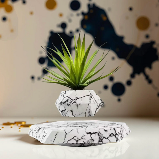 Zero Gravity Bloom - Levitating Pot