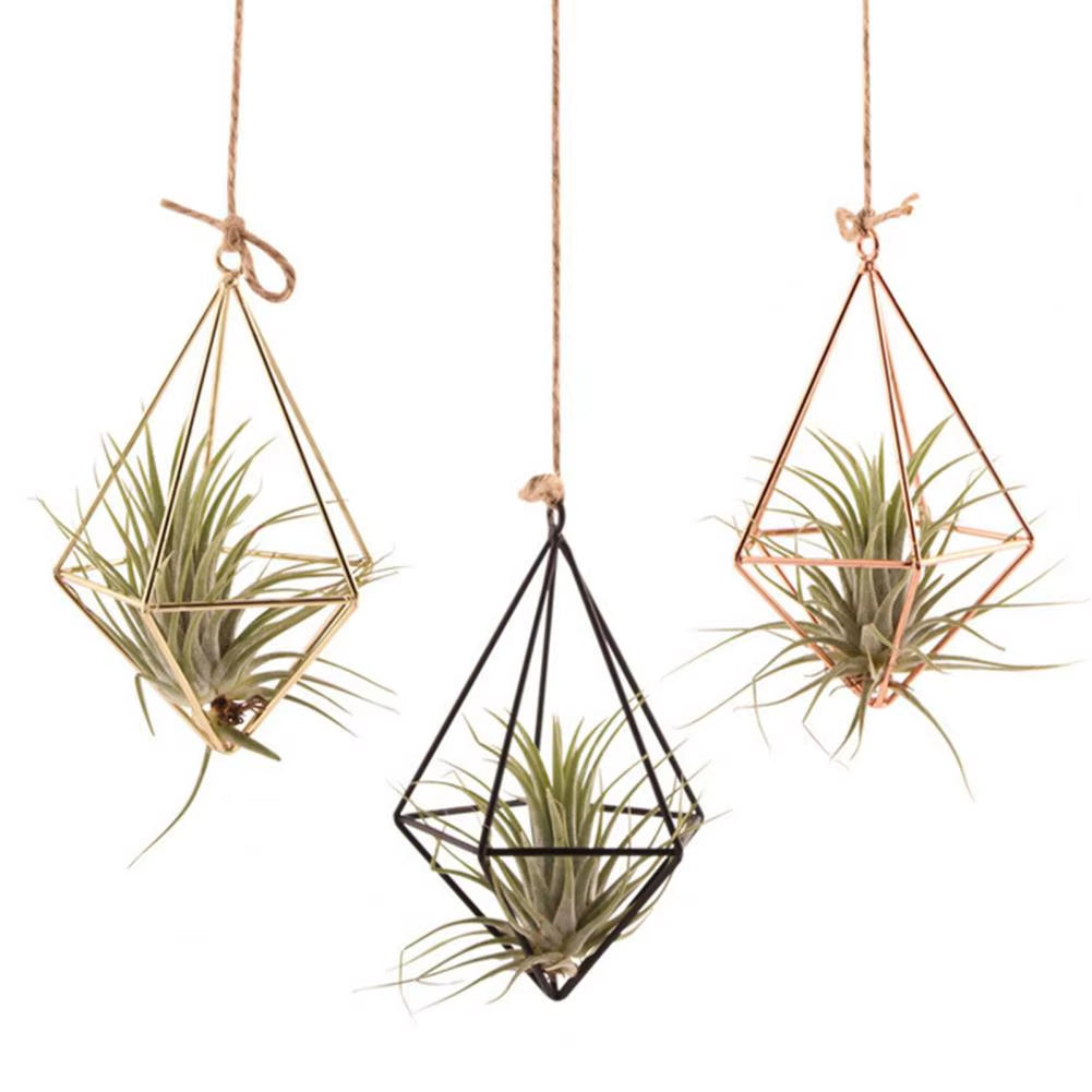 Modern Macrame Plant Hanger Flower Hanger Wall Decoration Countyard Garden Indoor Air Plant Stand Decorative Air Plant Holder