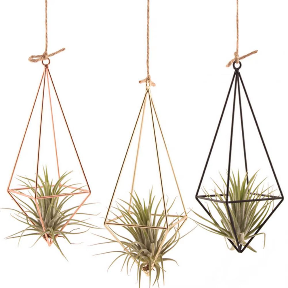 Modern Macrame Plant Hanger Flower Hanger Wall Decoration Countyard Garden Indoor Air Plant Stand Decorative Air Plant Holder