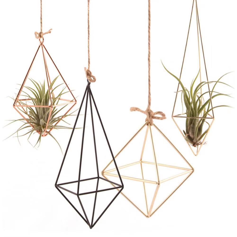 Modern Macrame Plant Hanger Flower Hanger Wall Decoration Countyard Garden Indoor Air Plant Stand Decorative Air Plant Holder