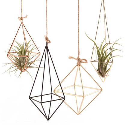 Modern Macrame Plant Hanger Flower Hanger Wall Decoration Countyard Garden Indoor Air Plant Stand Decorative Air Plant Holder